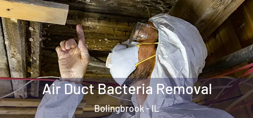  Air Duct Bacteria Removal Bolingbrook - IL