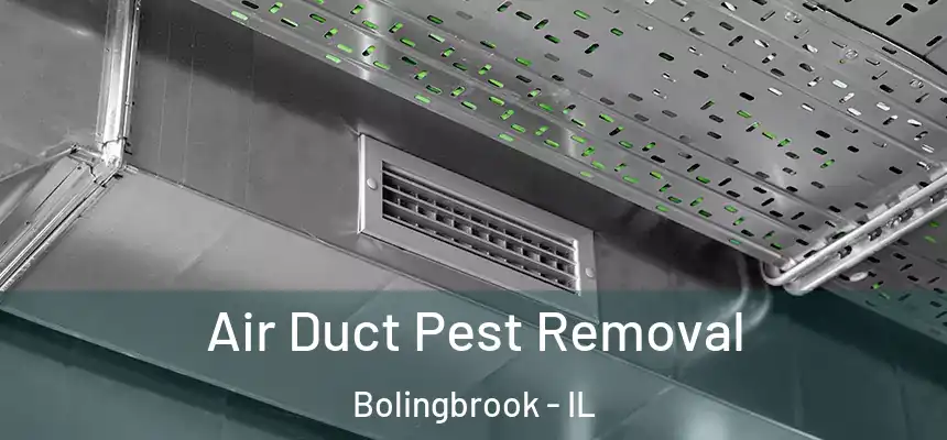  Air Duct Pest Removal Bolingbrook - IL