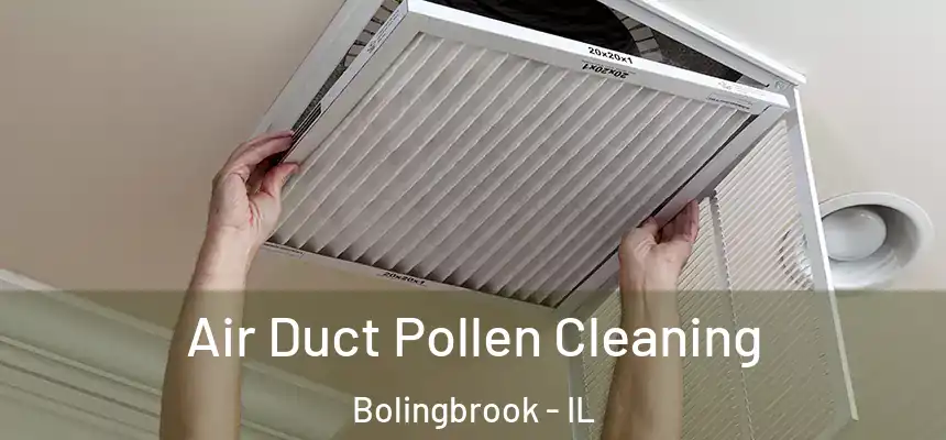  Air Duct Pollen Cleaning Bolingbrook - IL