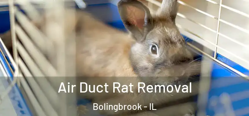  Air Duct Rat Removal Bolingbrook - IL
