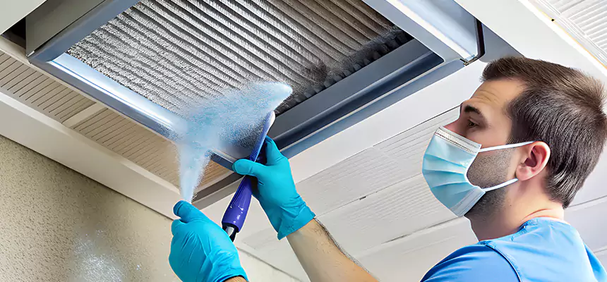 Proactive Dryer Vent & Auxiliary Duct Pollen Cleanup in Bolingbrook, IL