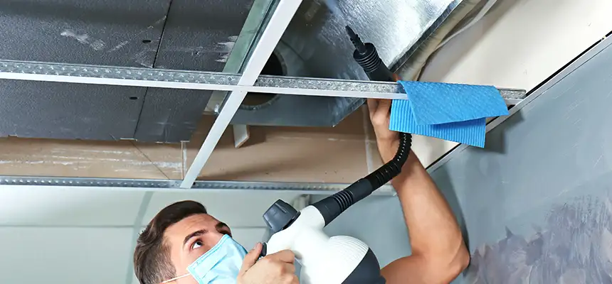 Our Air Duct Rodent Removal Services in Bolingbrook, IL
