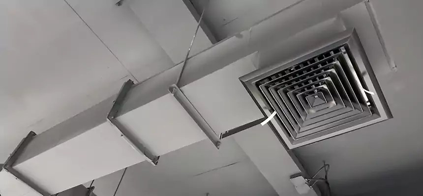 Our Rodent Droppings In Vents Services in Bolingbrook, IL