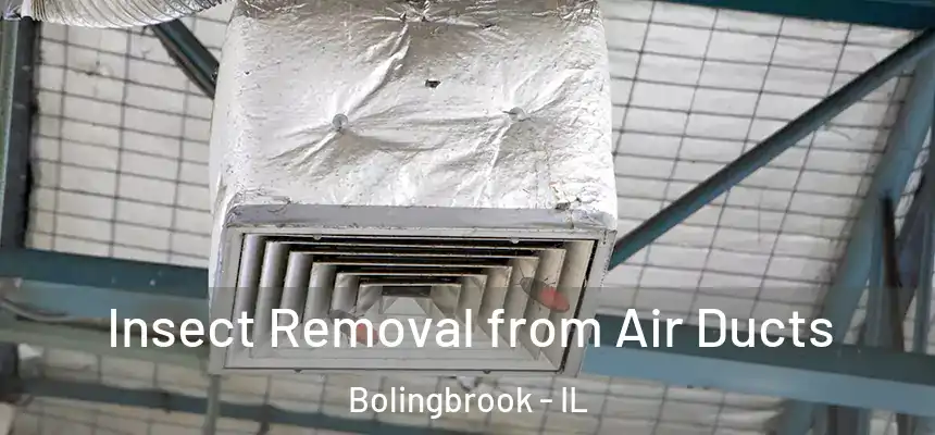  Insect Removal from Air Ducts Bolingbrook - IL