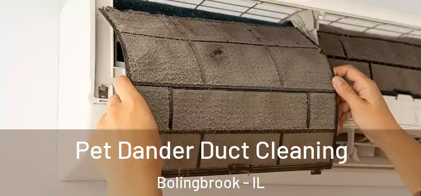  Pet Dander Duct Cleaning Bolingbrook - IL