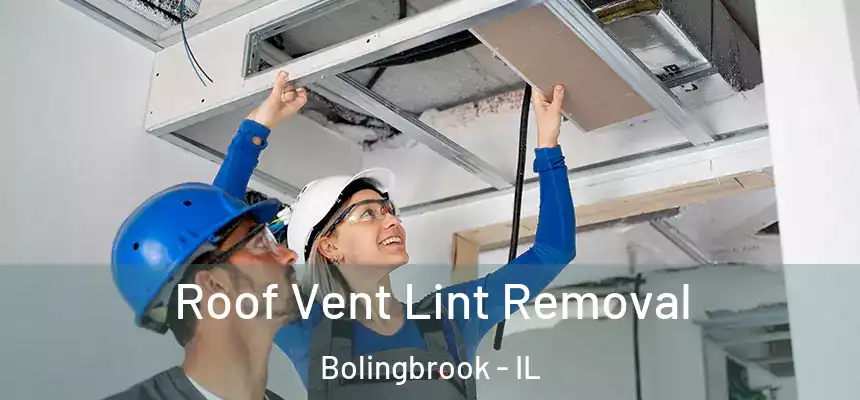  Roof Vent Lint Removal Bolingbrook - IL