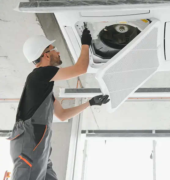 About Air Duct Rodent Removal in Bolingbrook, IL