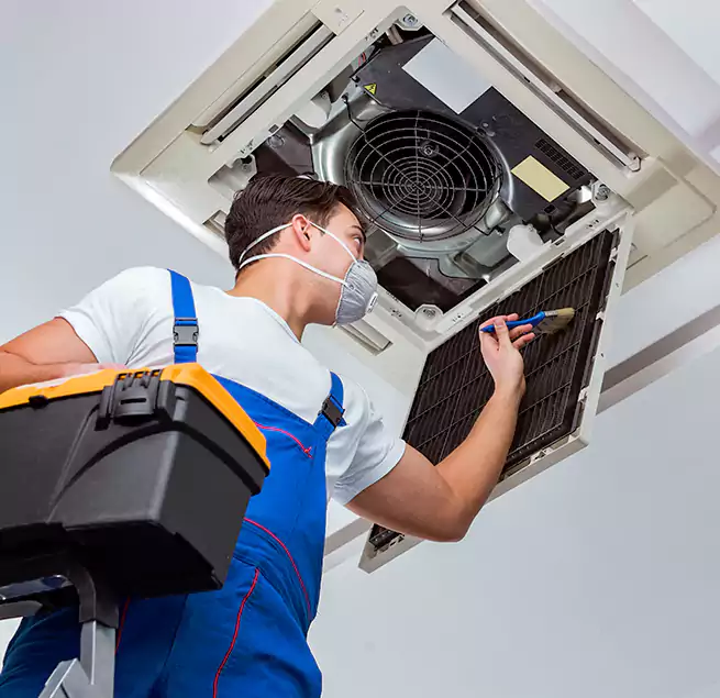 Why Homeowners & Businesses Trust Us in Bolingbrook, IL