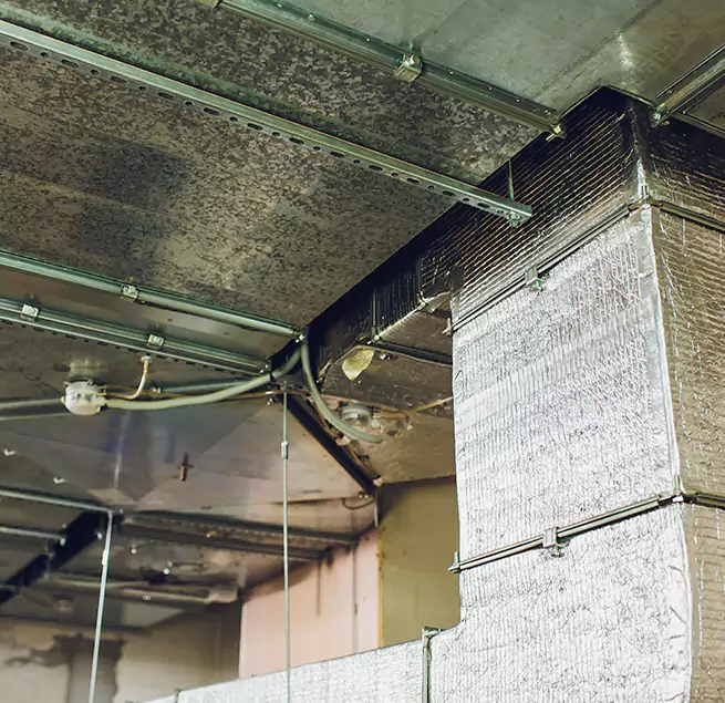 Why Homeowners & Businesses Trust Us in Bolingbrook, IL?